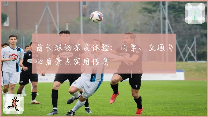 酋长球场深度体验：门票、交通与必看景点实用信息
