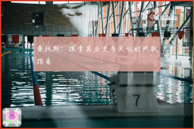 桑托斯：探索其历史与文化的终极指南